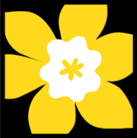Canadian Cancer Society
